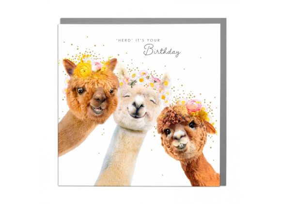 Alpaca - Birthday greeting card by Lola Design