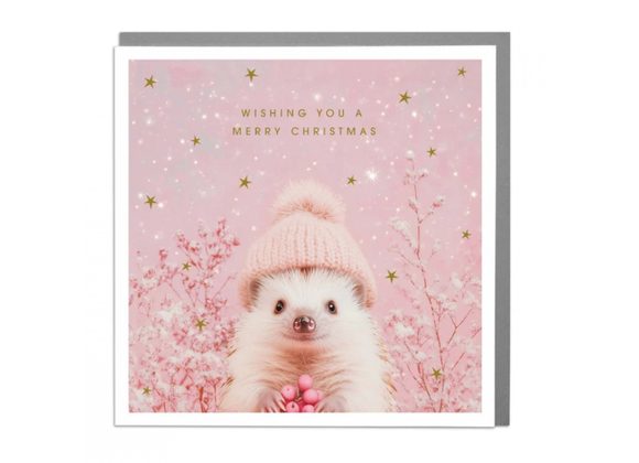 Hedgehog - Merry Christmas card by Lola Design