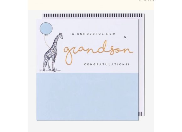 Wonderful New Baby Grandson Card