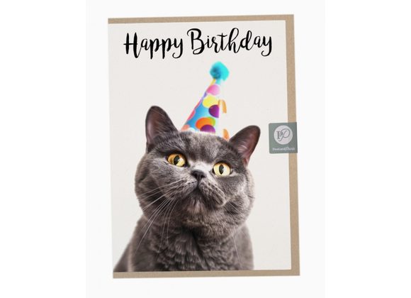 British Shorthair Birthday Card by Postcard Prints