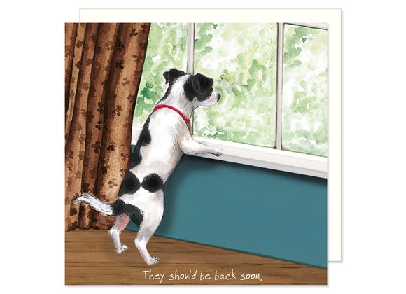 Jack Russell Greeting Card by the little dog laughed