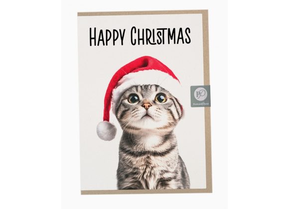 Scottish Fold Cat with Santa Hat Christmas Card, by Postcard Prints