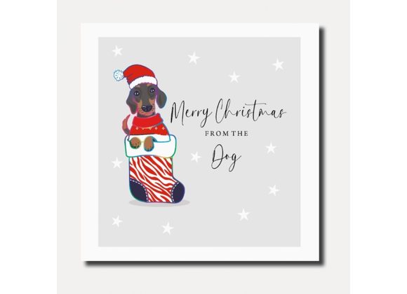 Merry Christmas from the Dog, Card by Marina B