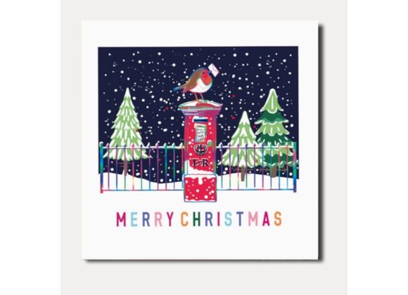 Robin on Postbox, Merry Christmas Card by Marina B