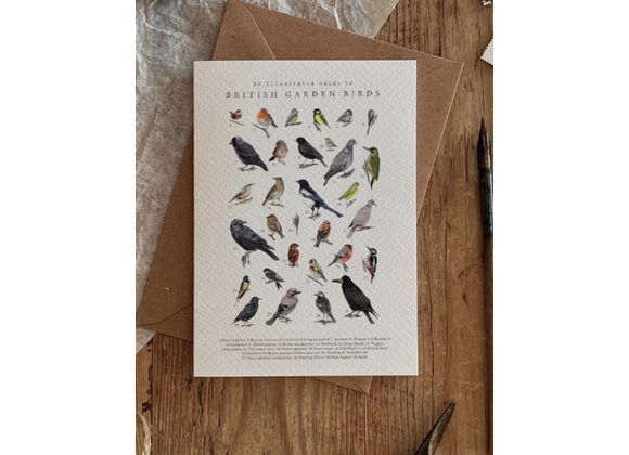 British Garden Birds, Card by Brooke Marie