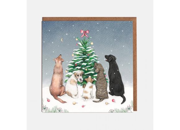 Dogs Christmas Card by Lottie Murphy