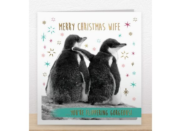 Merry Christmas Wife Card