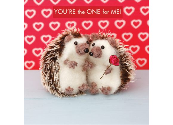 You're the ONE for ME, Valentine Card by Whimsicals by Desito