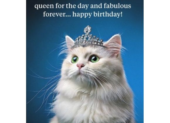 Queen For The Day, Greetings Card