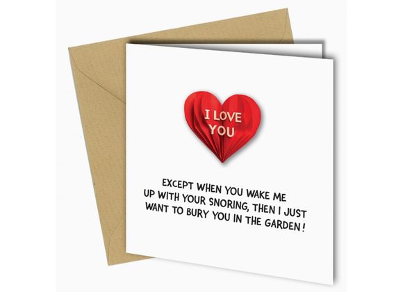 I LOVE YOU except when you... Card by Close to the Bone