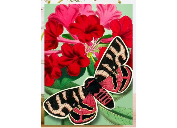 Pop Up Greeting Card with Butterfly By Madame Treacle
