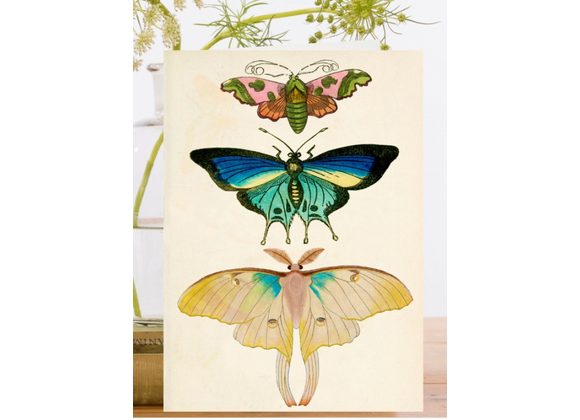 Whimsical card By Madame Treacle