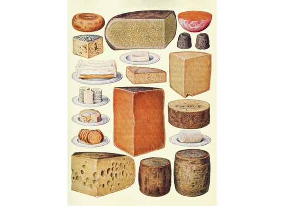 Types of Cheeses 