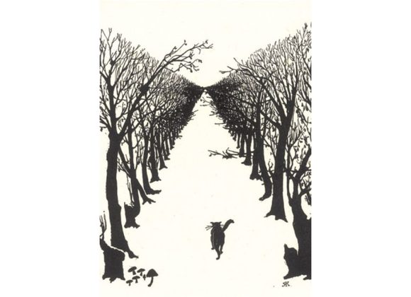 Cat walked by himself 