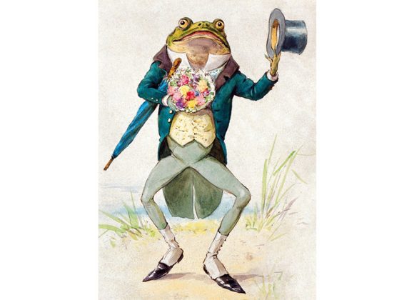 A Toad in Morning Dress 