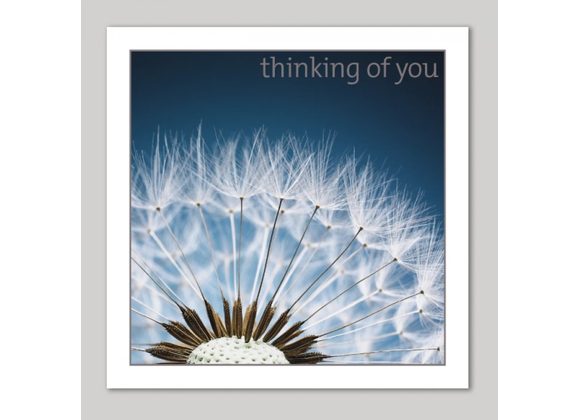 Dandelions Sympathy Card by Icon Art