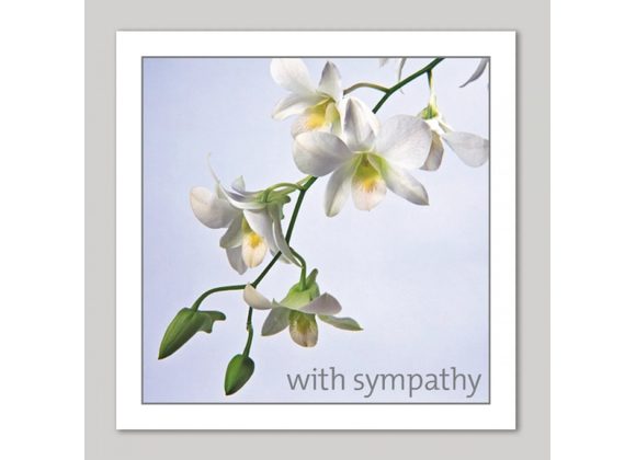 White Orchids Sympathy Card by Icon Art