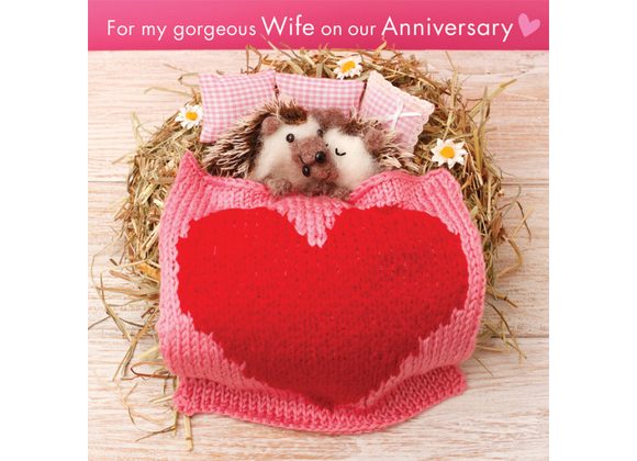 Hedgehogs in Heart Shape Bed. - Anniversary Card