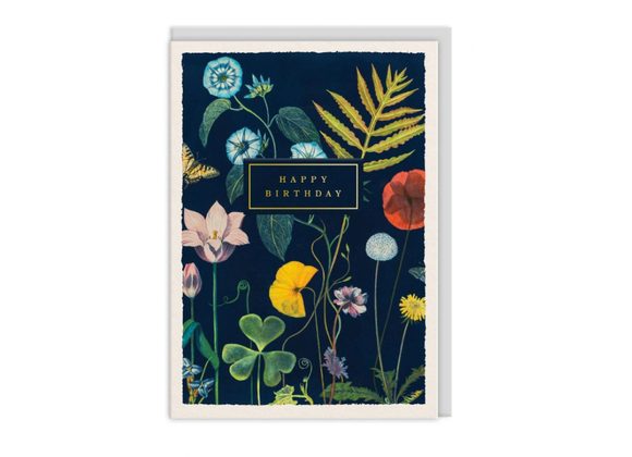 Happy Birthday Poppies, Greeting Card 