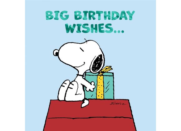Big Birthday Wishes... PEANUTS™ Card