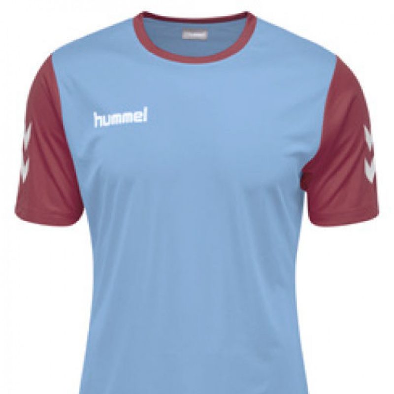 Hummel Hybrid Match Jersey Argentina Blue/Maroon Junior - GR Teamwear