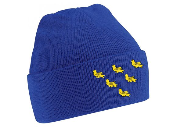 Sussex Winter Hat Royal
