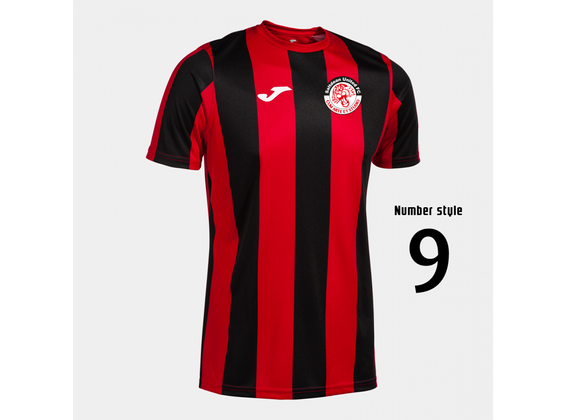 Saltdean United FC Home Shirt Adult (OLD STYLE) (Inter Classic)