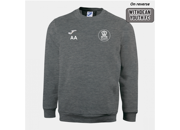 Withdean Youth Training Sweatshirt Adult Grey (Faraon)