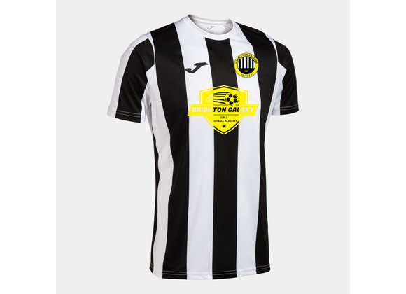 Hangleton Galaxy FC Match Shirt Adult (Inter Classic)
