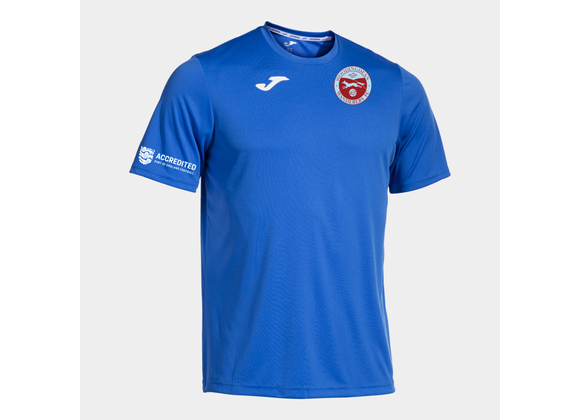 Woodingdean Wanderers Training Tee Royal Adult (Combi)