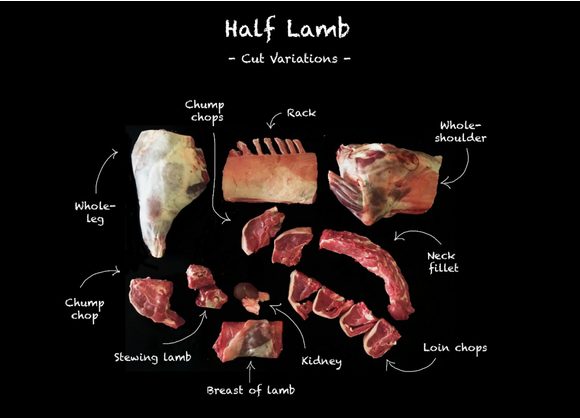 Half Lamb Box 