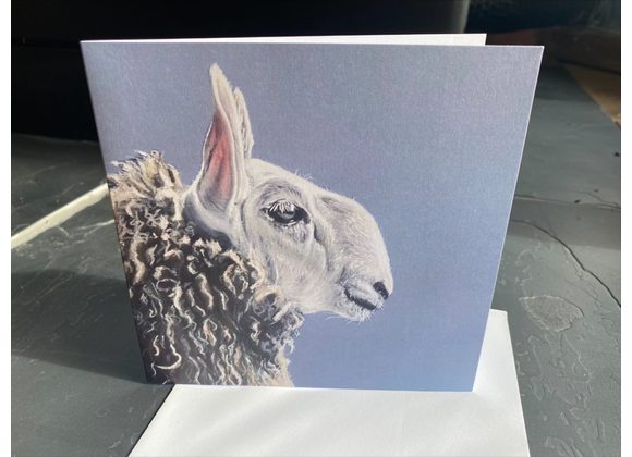 card - hand drawn sheep card