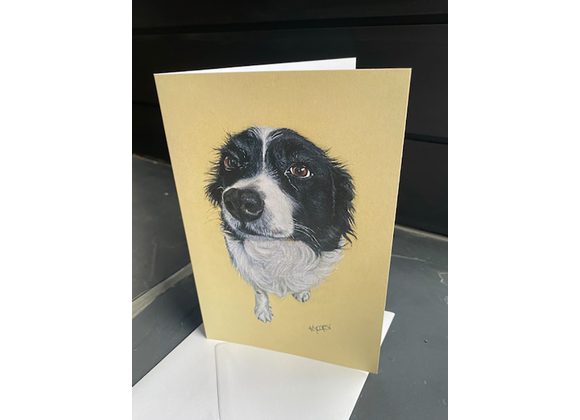 card - Border collie drawing 