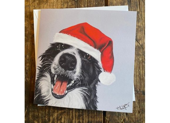 Border collie Christmas card 