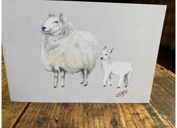 Sheep and lamb card 