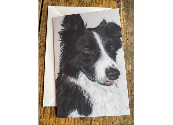 Border collie card 