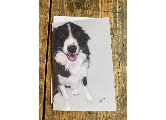 Border collie card 