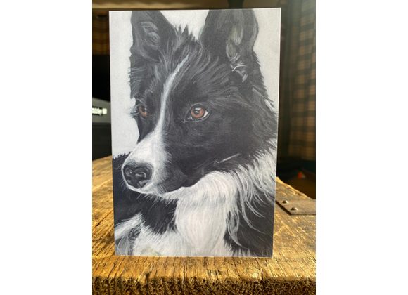 Border collie card 