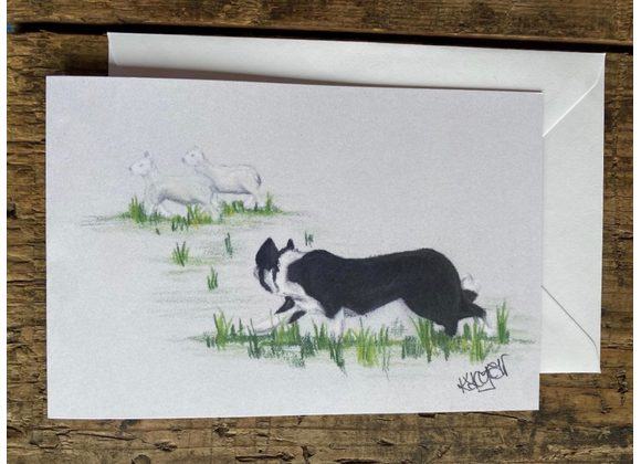 May rounding up her flock 