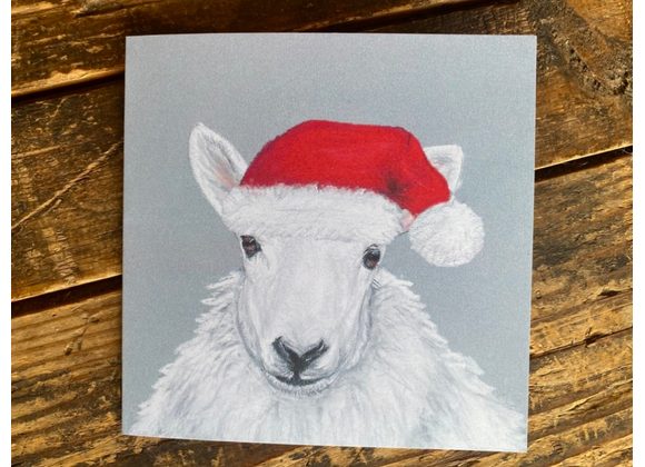 Cheviot sheep Christmas card 