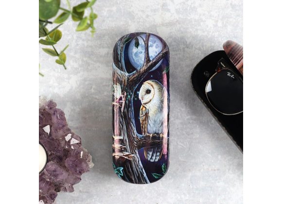 Fairy Tales Glasses Case by Lisa Parker