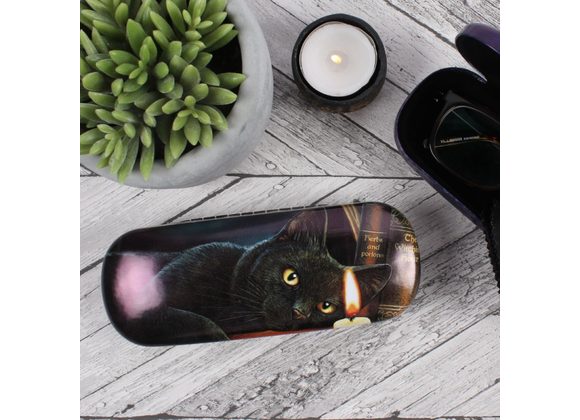 Witching Hour Glasses Case By Lisa Parker