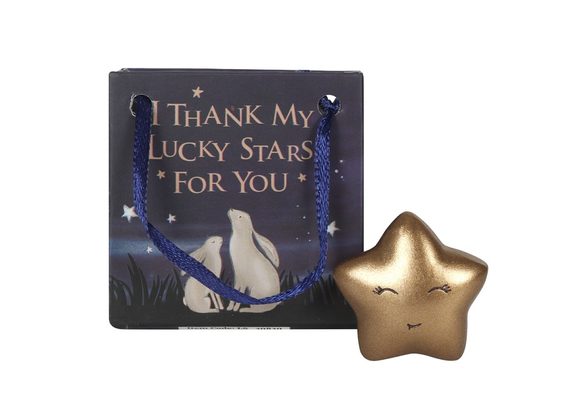 Gold Lucky Star in a Bag