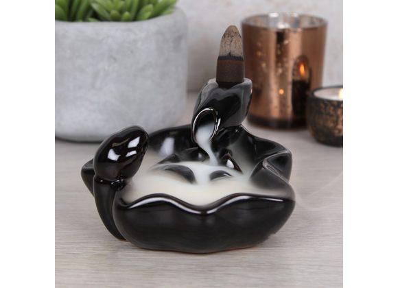 Pool to Pool Backflow Incense Burner