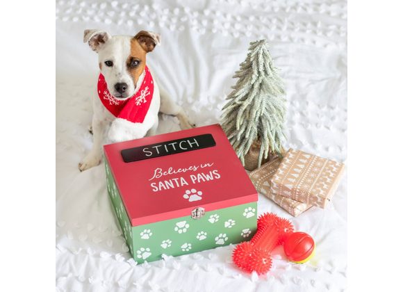 Santa Paws Christmas Eve Box