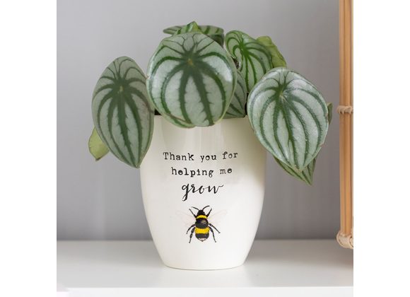 Thank You For Helping Me Grow Ceramic Plant Pot STOCK DUE SOON