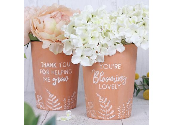 You're Blooming Lovely Terracotta Plant Pot 