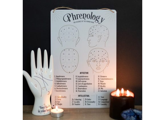 Phrenology Map Metal Sign