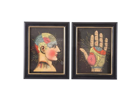 Palmistry and Phrenology Framed Print STOCK DUE 18/11/21