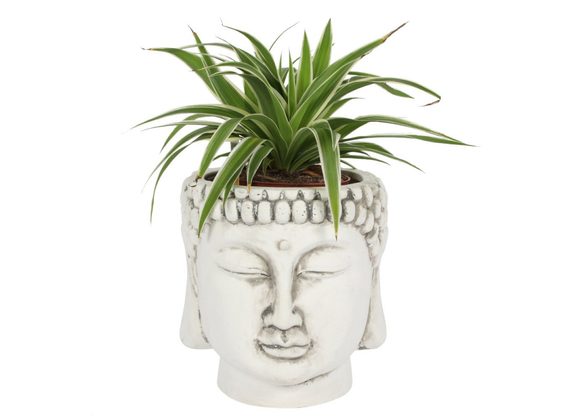 White Terracotta Buddha Head Planter